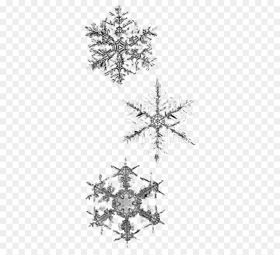 Snowflake Winter - snow flake png download - 400*808 - Free Transparent Snowflake png Download.