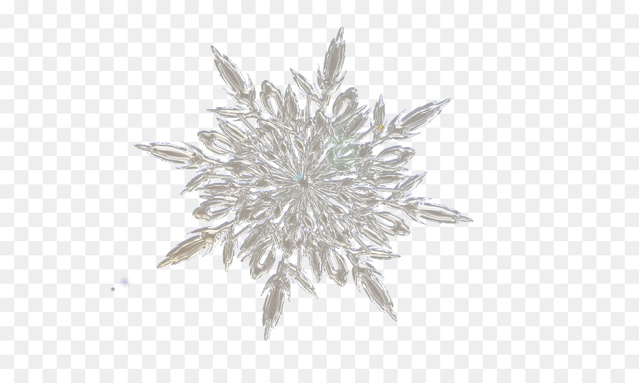 Snowflake White Crystallization - White crystalline snowflakes png download - 728*536 - Free Transparent Snow png Download.
