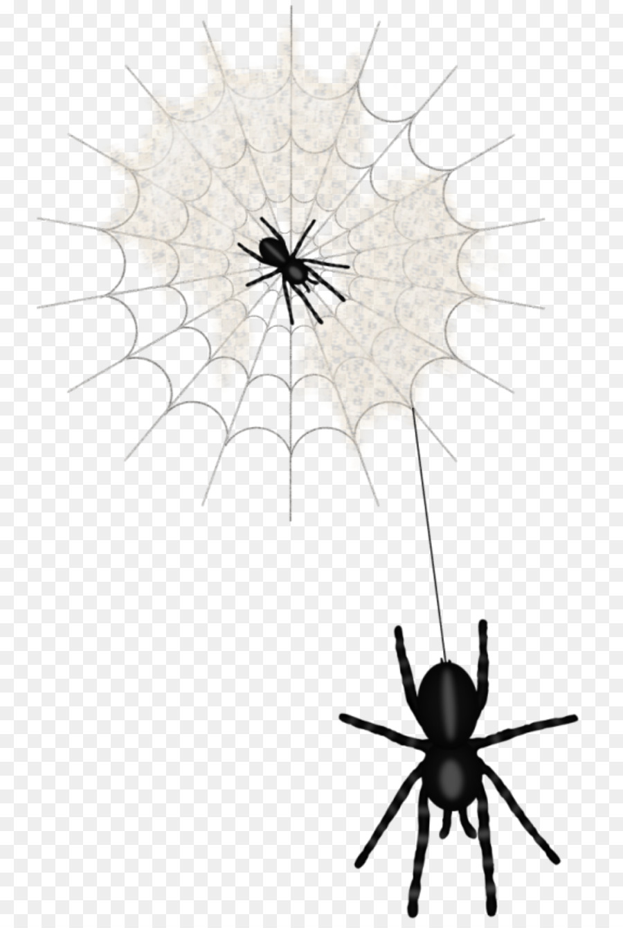 Widow spiders Clip art - spider web animation png download - 800*1334 - Free Transparent Widow Spiders png Download.