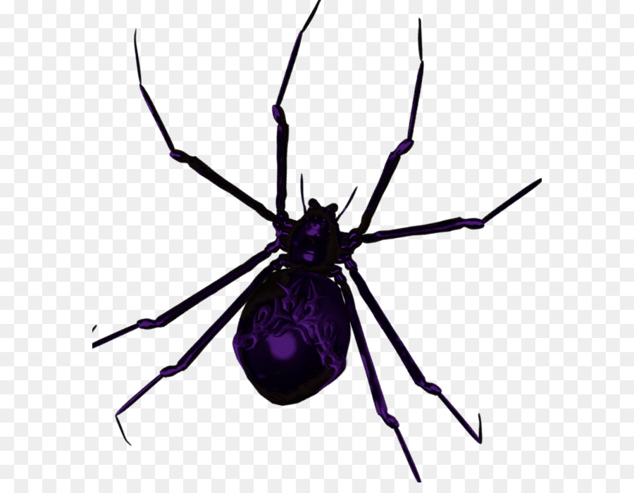 Widow spiders STX G.1800E.J.M.V.U.NR YN Angie Clip art - others png download - 638*685 - Free Transparent Widow Spiders png Download.