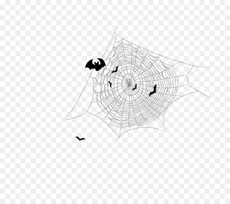 Portable Network Graphics GIF Clip art Adobe Photoshop Image - cobwebs png download - 800*800 - Free Transparent Spider Web png Download.