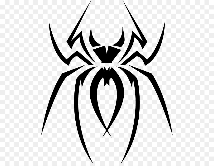 Spider web Tribe Clip art - spider png download - 553*693 - Free Transparent Spider png Download.