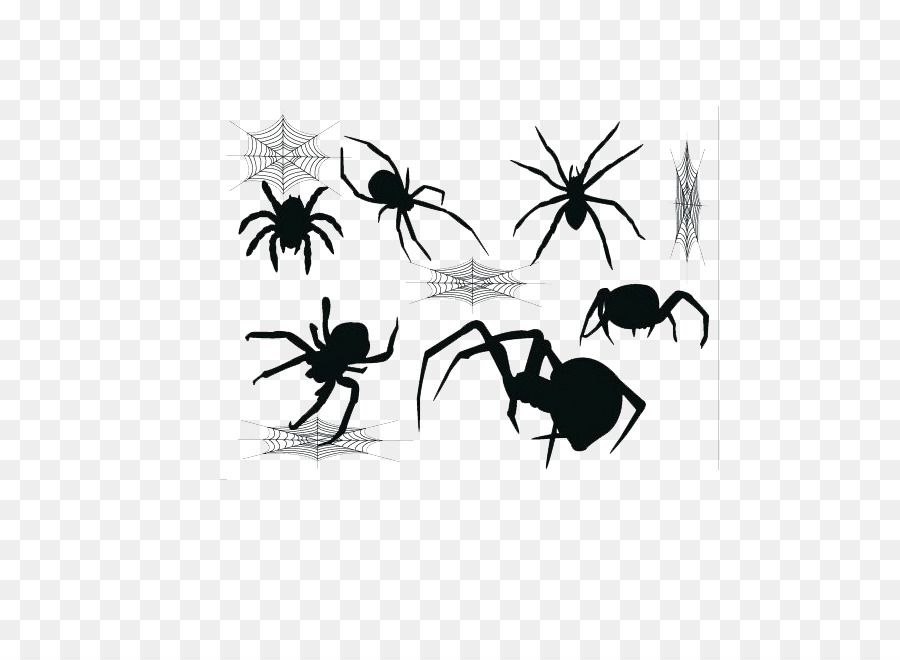 Widow spiders Spider web - Black spider png download - 711*658 - Free Transparent Spider png Download.