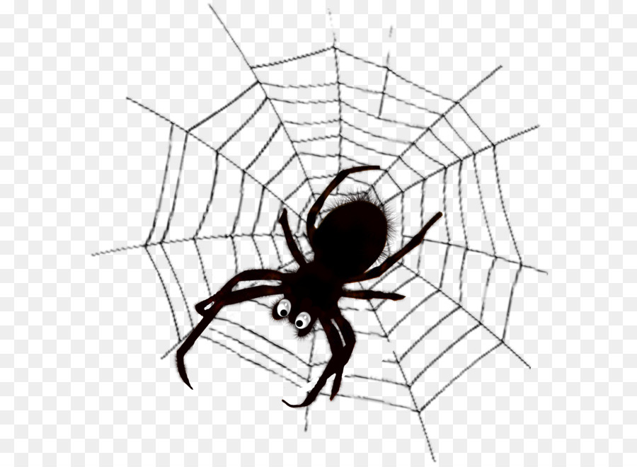 Spider web Spider silk Clip art - spider png download - 650*655 - Free Transparent Spider png Download.