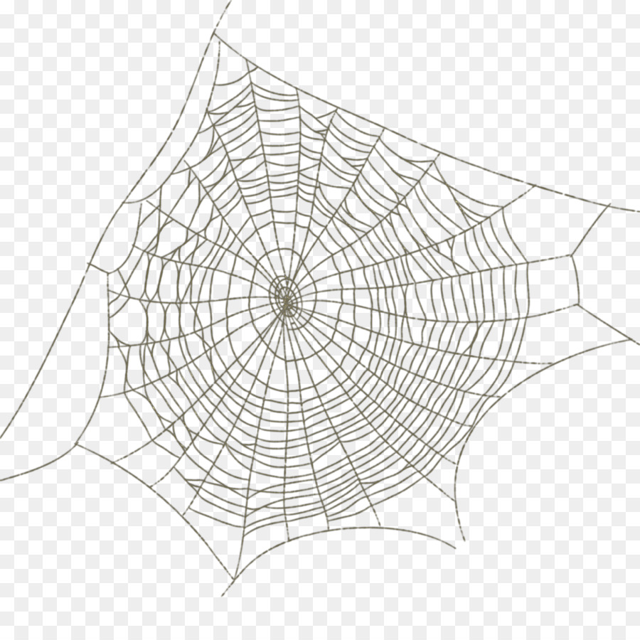 Spider web Drawing - Spider web spider web pattern image png download - 3600*3600 - Free Transparent Spider png Download.