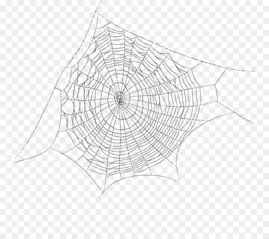 Spider web Clip art - spider png download - 800*800 - Free Transparent Spider Web png Download.