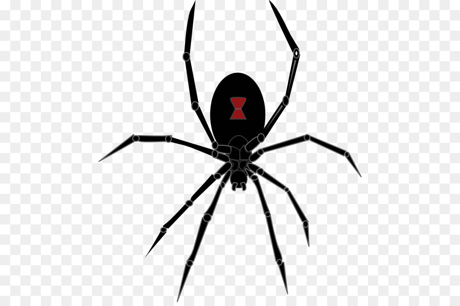 Redback spider Southern black widow Clip art - Cartoon Spiders Clipart png download - 516*593 - Free Transparent Spider png Download.
