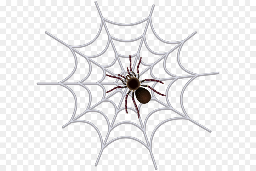 Spider web Clip art - Spider Web Transparent Clip Art Image png download - 8000*7380 - Free Transparent Spider png Download.