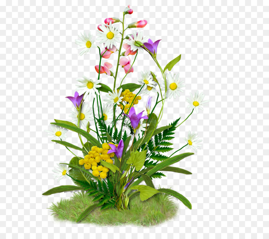 Portable Network Graphics Image Spring GIF Flower - flower png download - 800*800 - Free Transparent Spring png Download.