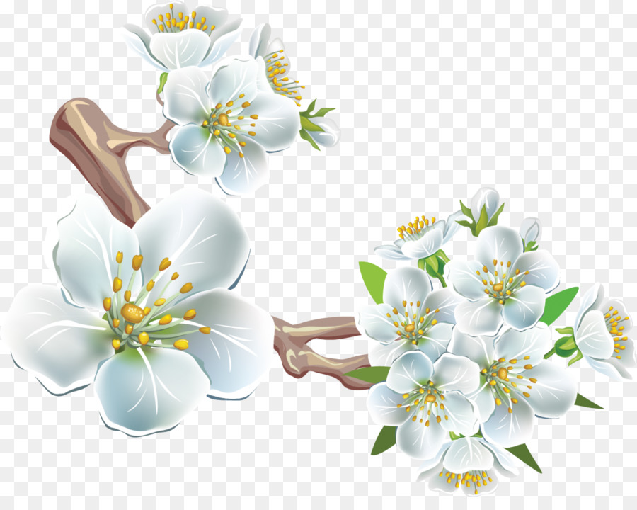 Branch Clip art - spring flowers png download - 1280*998 - Free Transparent Branch png Download.