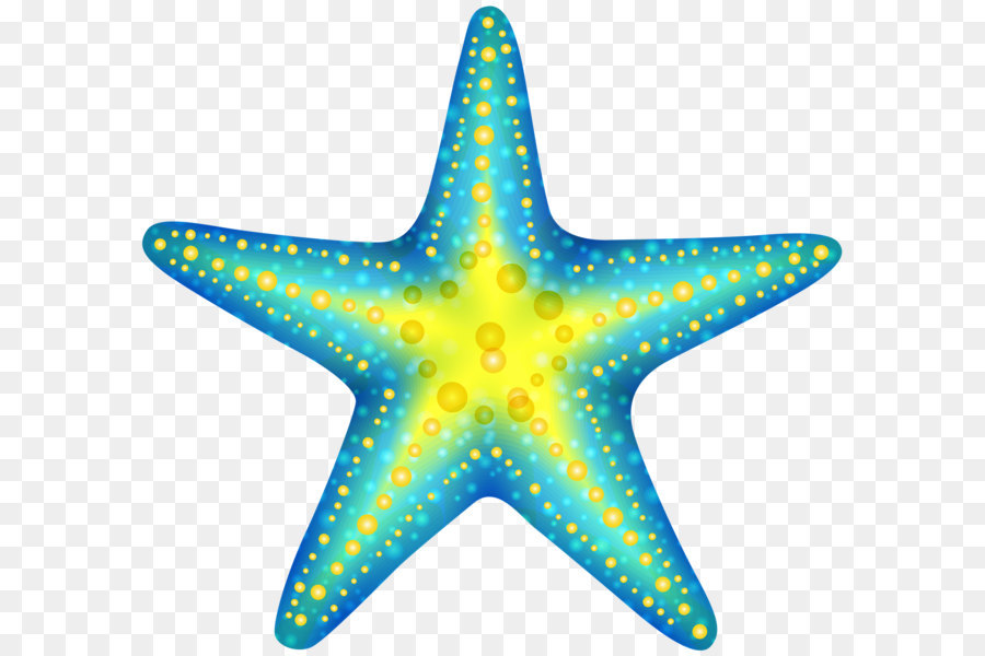 Starfish Computer file - Starfish PNG png download - 1800*1659 - Free Transparent Starfish png Download.