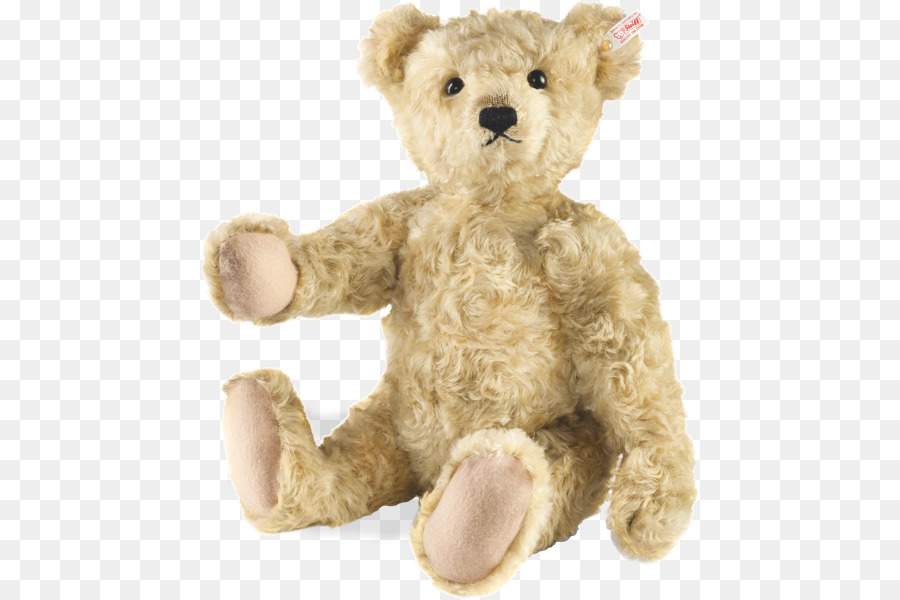 Transparent Teddy Bear