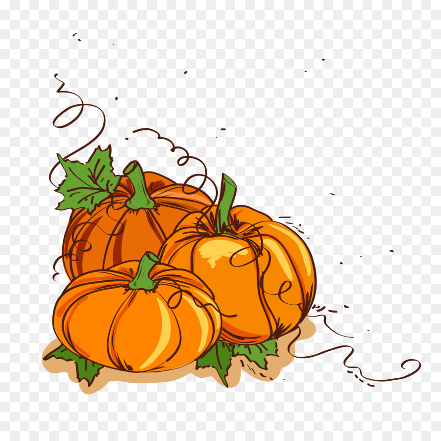 Thanksgiving dinner Pumpkin Clip art - Painted Thanksgiving pumpkin vector illustration material png download - 4167*4167 - Free Transparent Thanksgiving png Download.