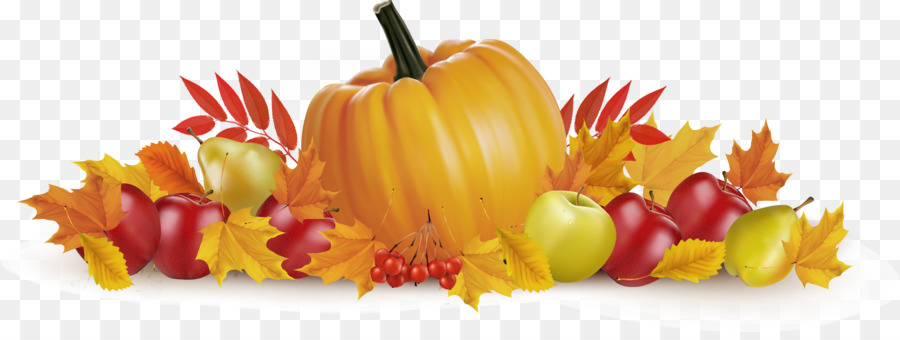 Thanksgiving Autumn Illustration - Thanksgiving vector material png download - 2085*768 - Free Transparent Thanksgiving png Download.