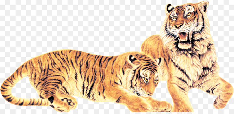 Tiger Download - tiger png download - 1215*585 - Free Transparent Tiger png Download.