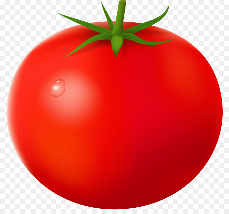 Portable Network Graphics Clip art Transparency Cherry tomato Image - vegetable png download - 850*822 - Free Transparent Cherry Tomato png Download.