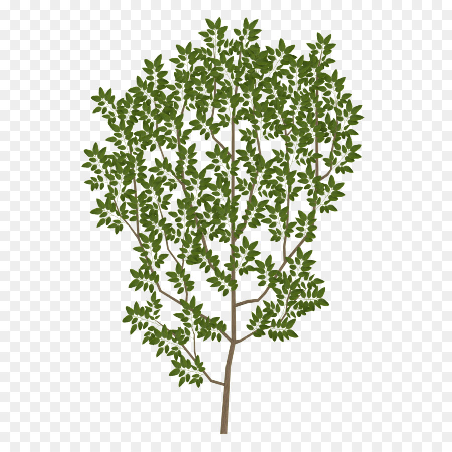 Tree Branch Leaf Texture mapping UV mapping - branch png download - 1024*1024 - Free Transparent Tree png Download.