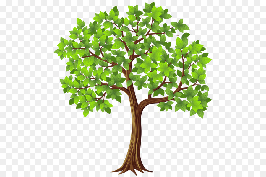 Tree Branch Clip art - tree png download - 544*600 - Free Transparent Tree png Download.