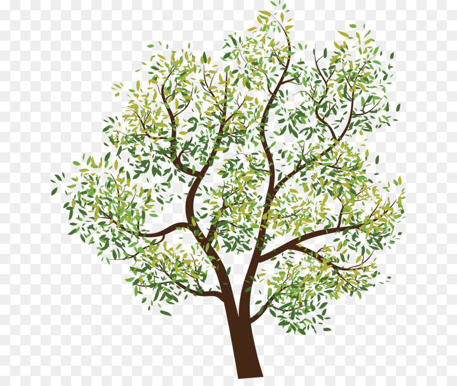Tree Branch Clip art - tree png download - 701*746 - Free Transparent Tree png Download.