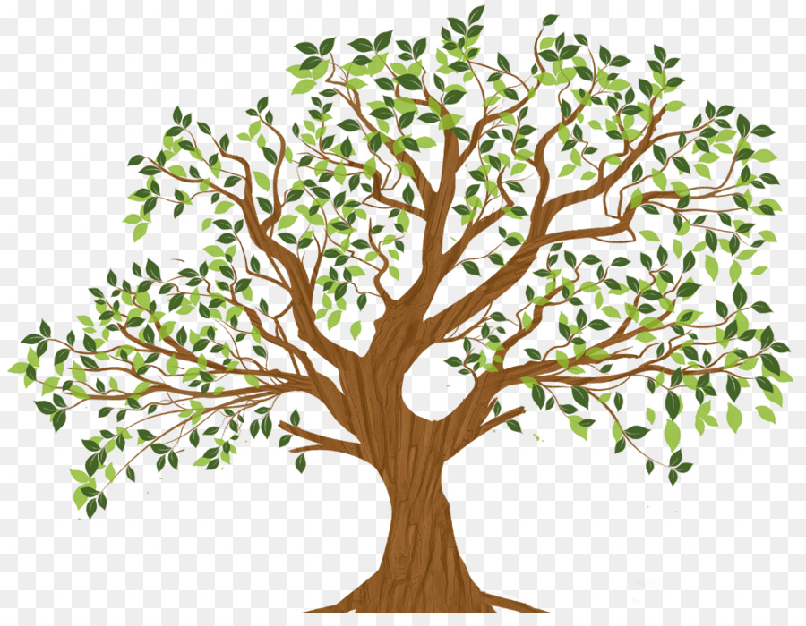 Tree Branch Root Leaf - tree png download - 965*735 - Free Transparent Tree png Download.