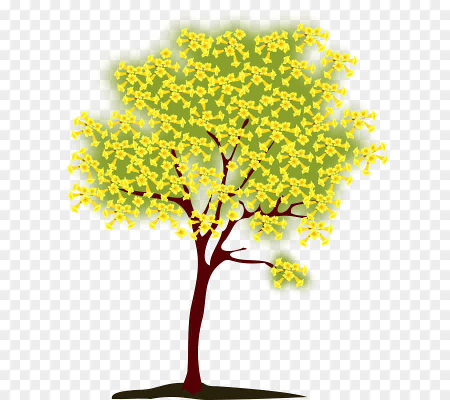 Tree Branch Clip art - tree png download - 672*800 - Free Transparent Tree png Download.