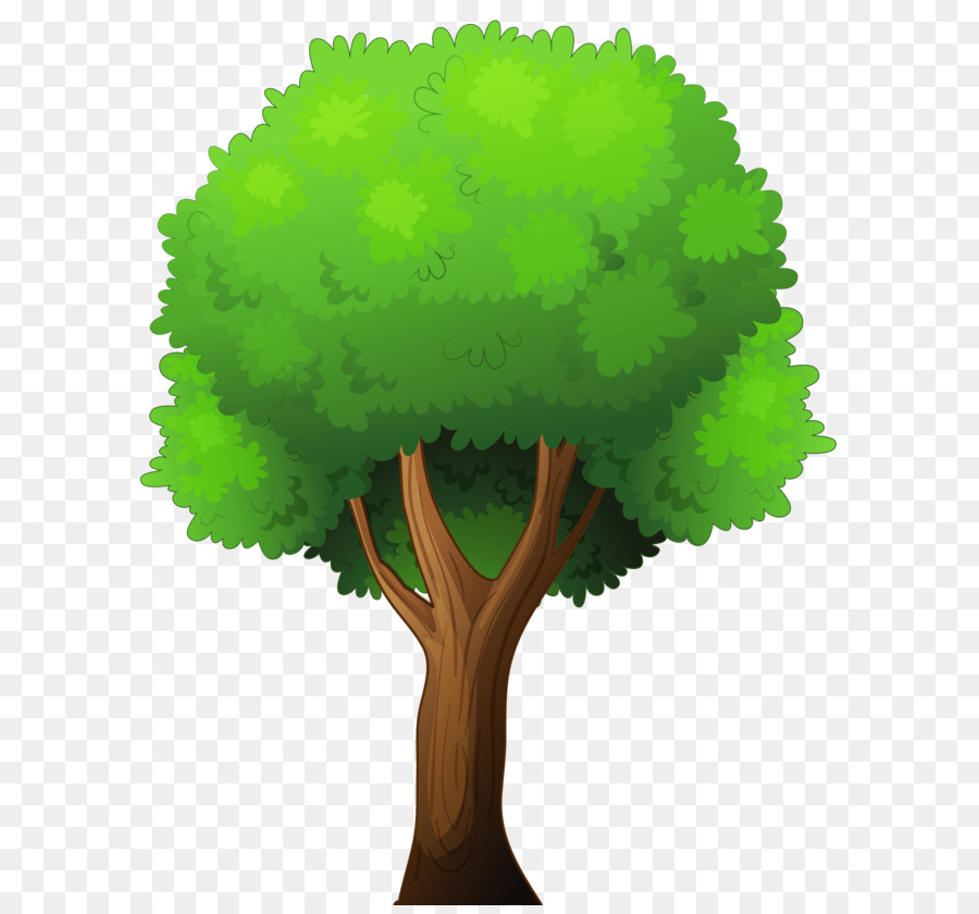 Tree Hackus Clip art - Tree Clip Art png download - 3905*5000 - Free Transparent Tree png Download.