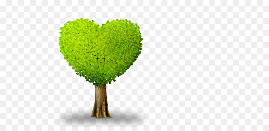 Plant Tree Heart - Heart-shaped tree png download - 3500*2300 - Free Transparent Tree png Download.