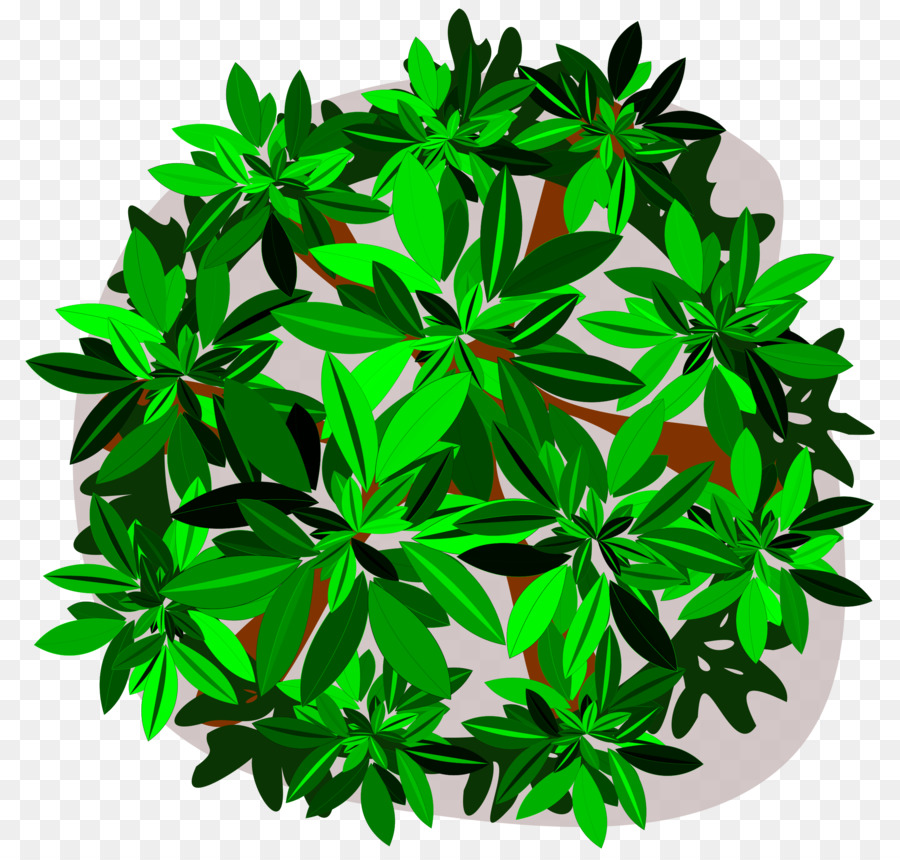 Tree Leaf Clip art - cassava png download - 2400*2285 - Free Transparent Tree png Download.