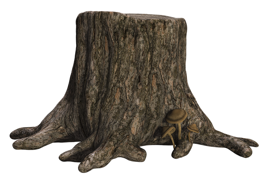 Tree Stump Clipart Free Download Transparent Png Clipart Library ...