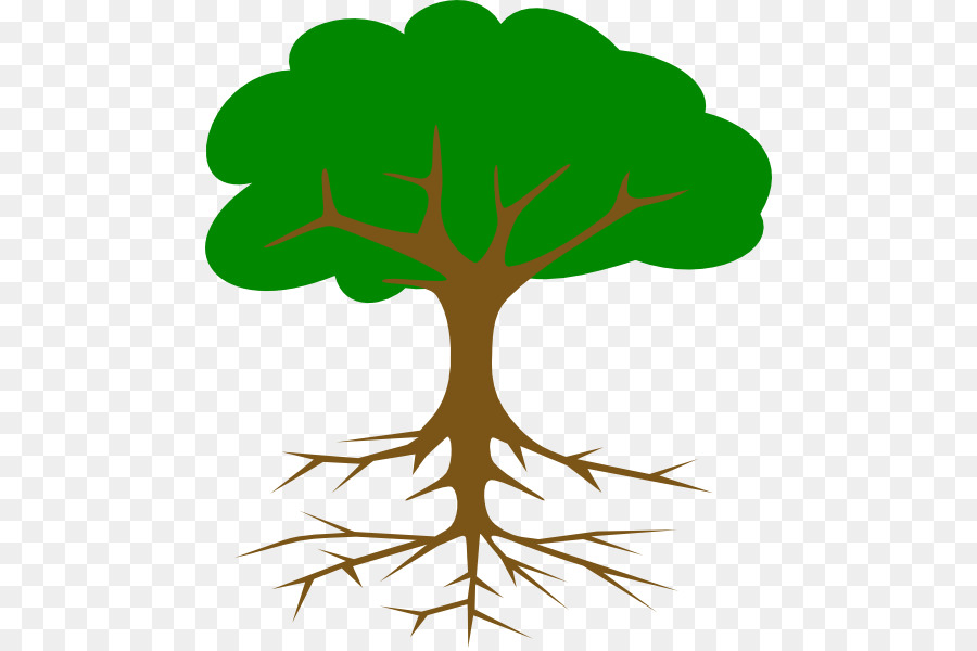 Tree Root Clip art - tree png download - 522*597 - Free Transparent Tree png Download.
