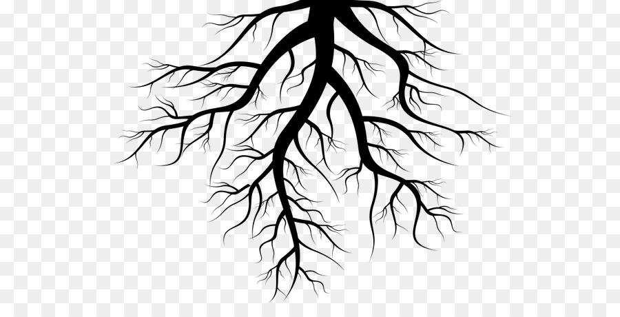 Tree Root Clip art - tree png download - 600*446 - Free Transparent Tree png Download.