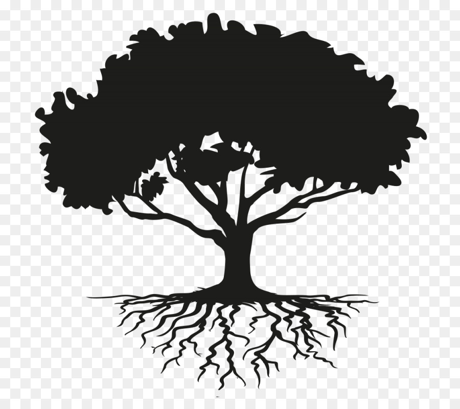 Tree Drawing Root Clip art - zen tree png download - 800*800 - Free Transparent Tree png Download.