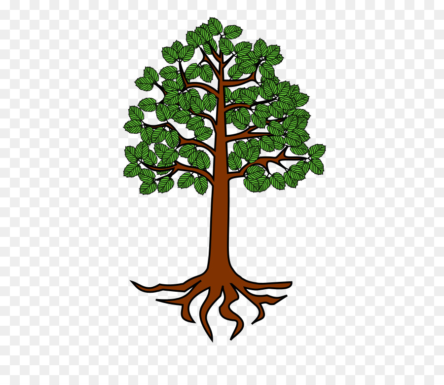 Tree Root Trunk Clip art - root png download - 698*768 - Free Transparent Tree png Download.
