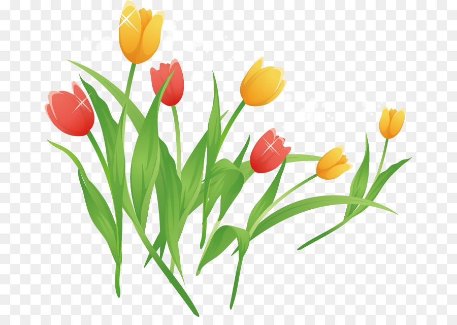 Tulip Cartoon Clip art - Vector tulips png download - 725*624 - Free Transparent Tulip png Download.