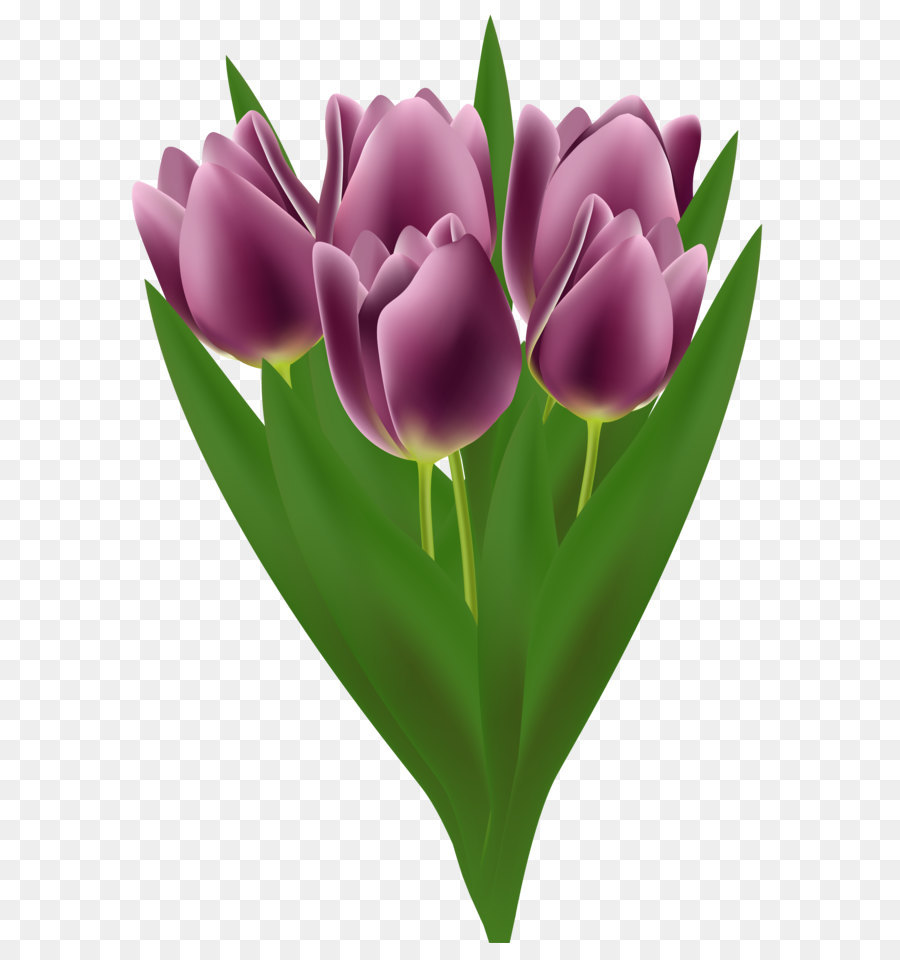 Flower bouquet Tulip Clip art - Tulips Bouquet Transparent PNG Clip Art Image png download - 3915*5681 - Free Transparent Flower Bouquet png Download.