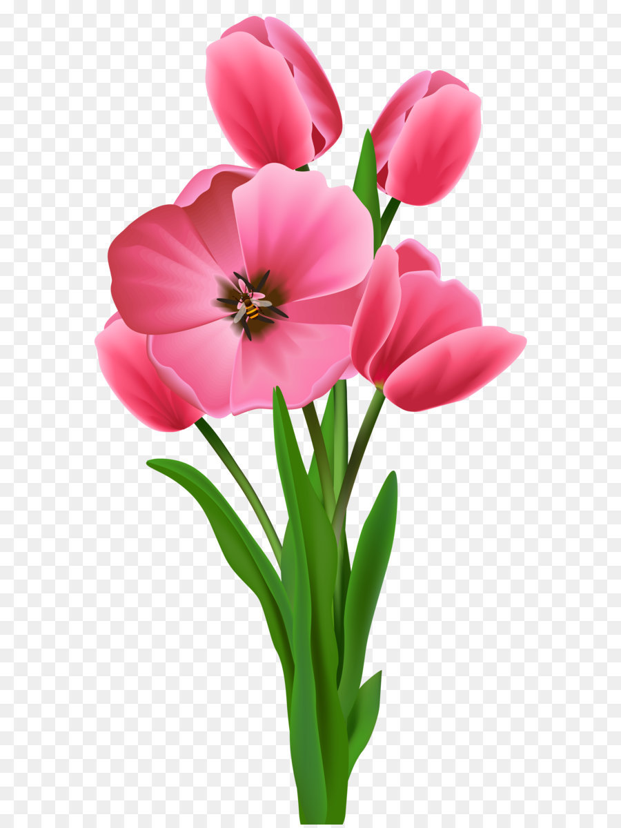 Flower Varuthini Ekadashi Clip art - Tulips Transparent PNG Image png download - 3942*7246 - Free Transparent Flower png Download.