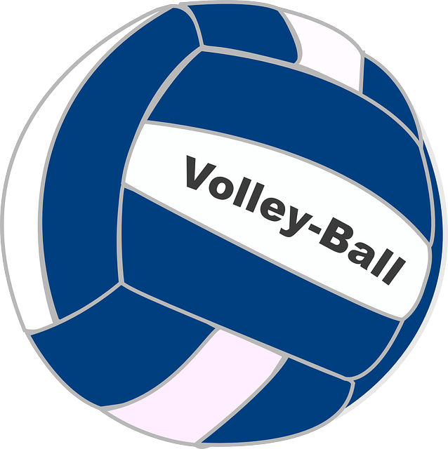 Volleyball Clip art - Volleyball png download - 638*640 - Free ...