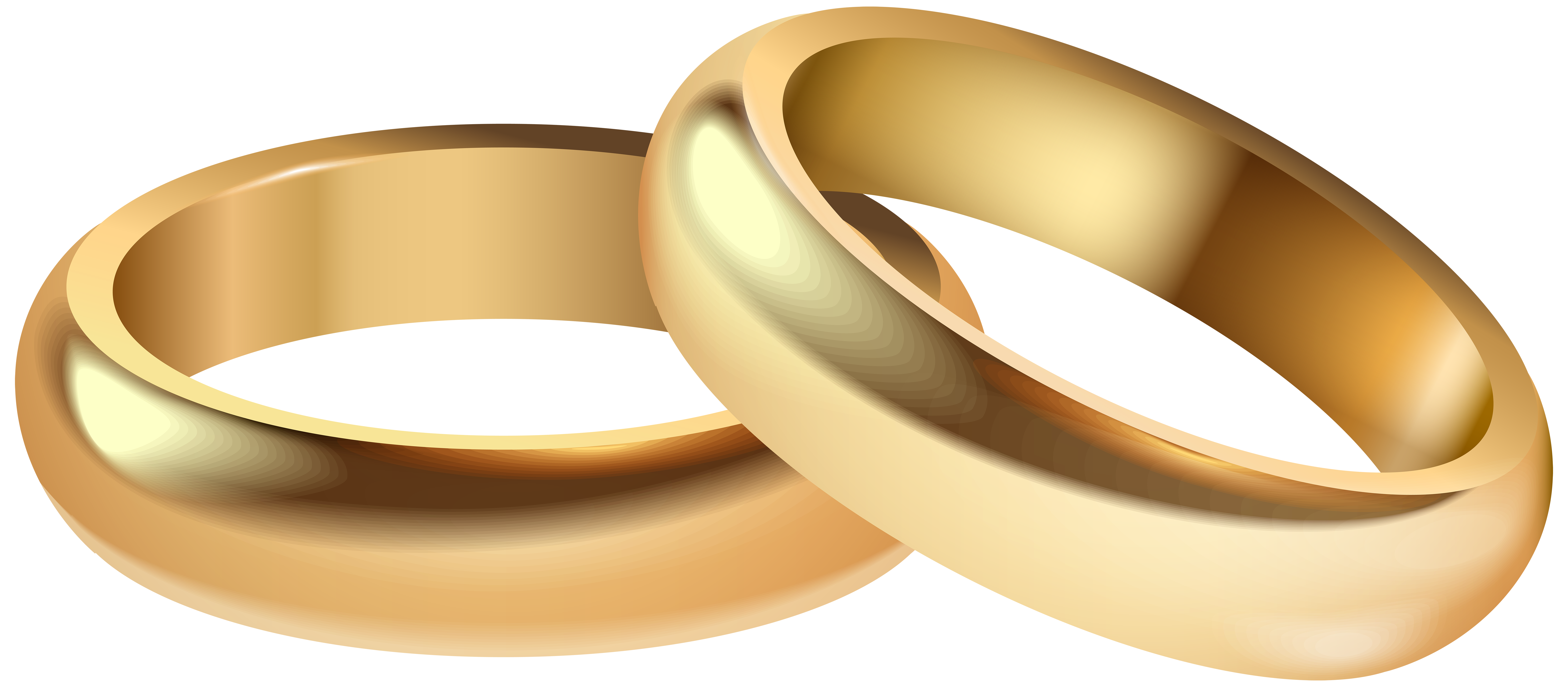 Ring Ceremony png download - 2768*3171 - Free Transparent Wedding Ring png  Download. - CleanPNG / KissPNG