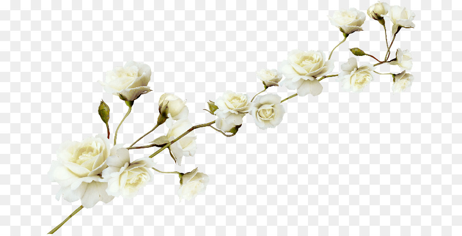Flower - White flower pattern png download - 720*457 - Free Transparent Flower png Download.