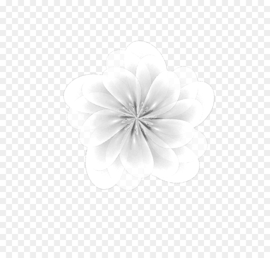 White Petal Flower - white flower png download - 915*873 - Free Transparent White png Download.