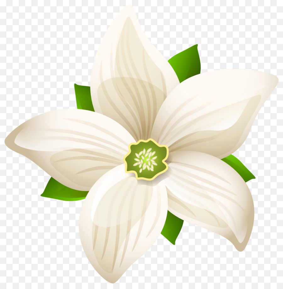 Flower White Petal Clip art - white flowers png download - 8048*8203 - Free Transparent Flower png Download.