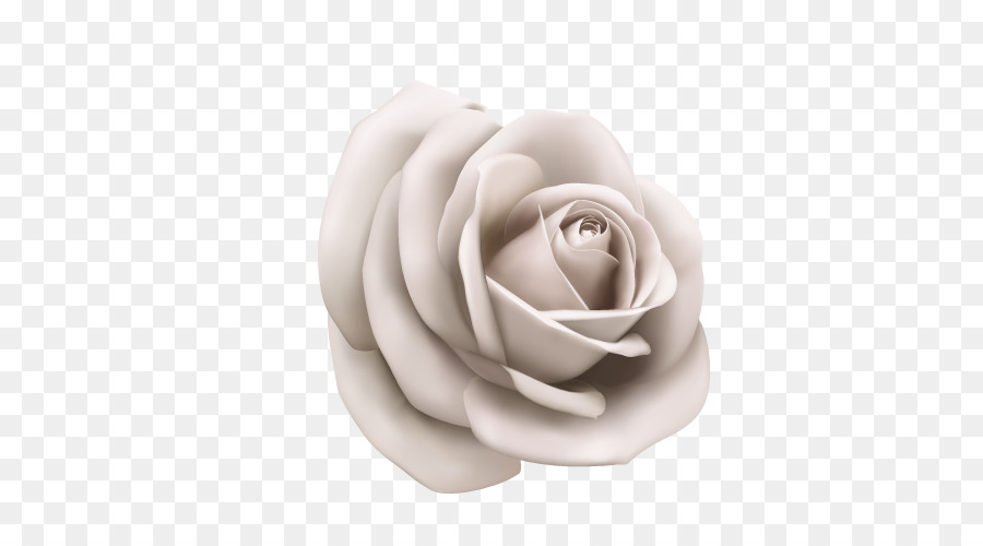 Paper Illustration - Vector White Rose png download - 500*500 - Free Transparent Paper png Download.