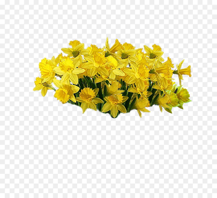 Yellow Cut flowers Plant - yellow flowers png download - 1670*1516 - Free Transparent Yellow png Download.