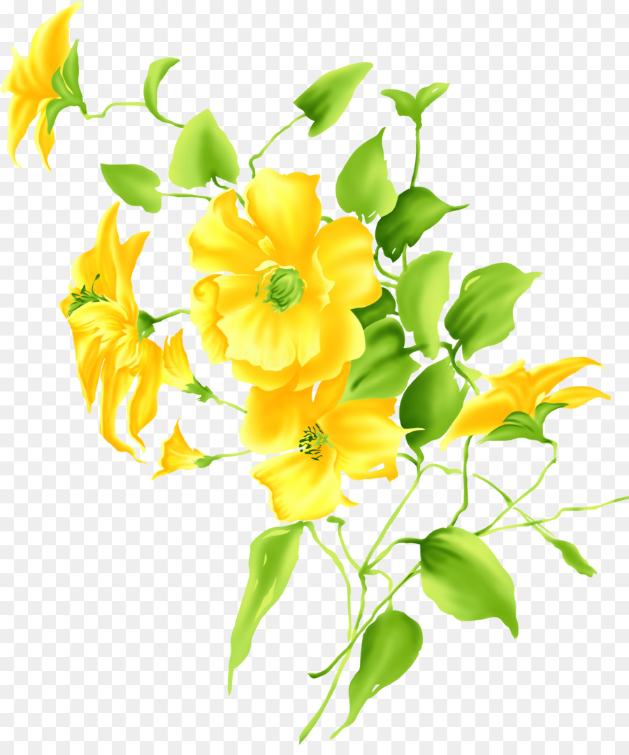 Yellow Flower Drawing Clip art - lily png download - 2535*3000 - Free Transparent Yellow png Download.