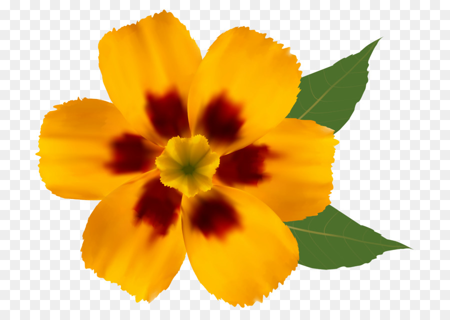 Flower Yellow Clip art - flower png download - 800*635 - Free Transparent Flower png Download.