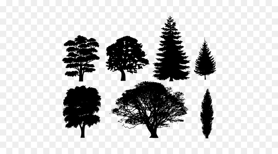 Tree Pine Clip art - tree png download - 500*500 - Free Transparent Tree png Download.