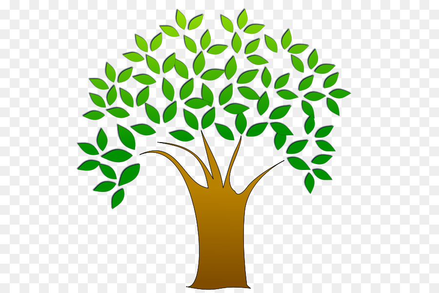 Tree Branch Clip art - Free Vector Trees png download - 800*600 - Free Transparent Tree png Download.