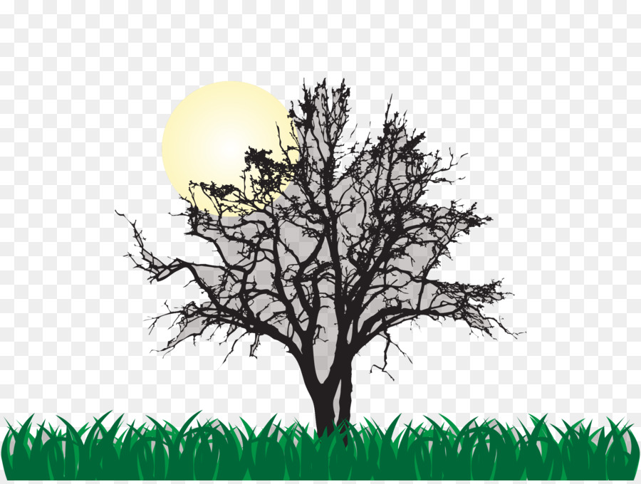Tree Euclidean vector Illustration - Sunrise under the dead tree png download - 2743*2056 - Free Transparent Tree png Download.
