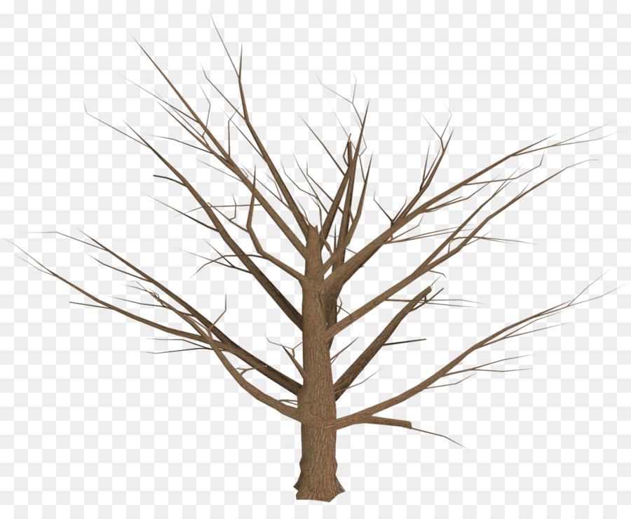 Tree Branch Plant - tree plan png download - 1280*1028 - Free Transparent Tree png Download.