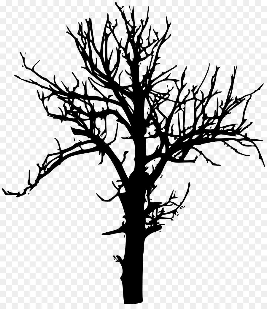 Tree Branch Desktop Wallpaper Drawing - tree transparent png download - 887*1024 - Free Transparent Tree png Download.